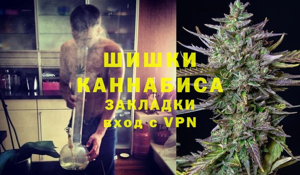 твердый Алзамай
