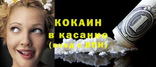 твердый Алзамай