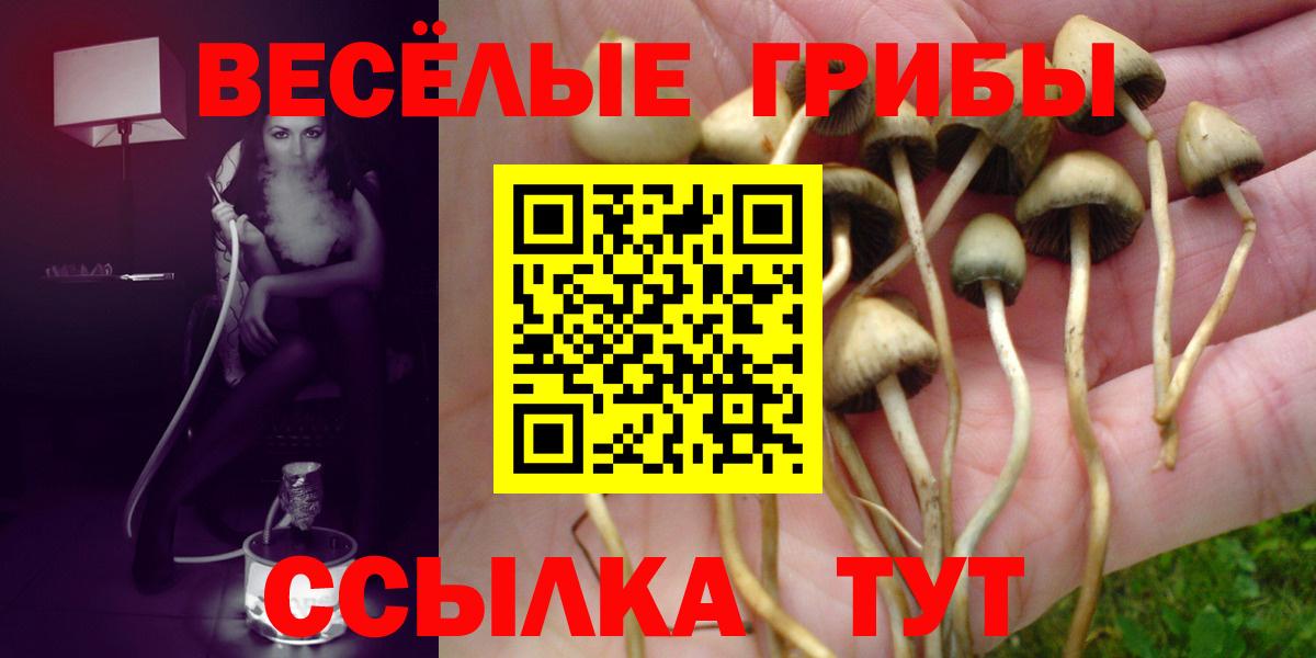 Галлюциногенные грибы мицелий Крымск